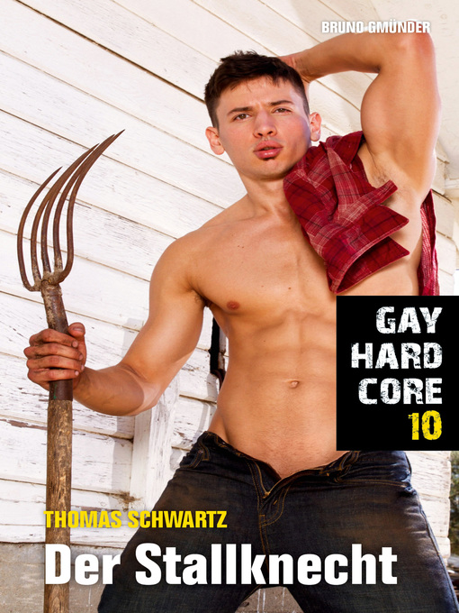 Title details for Gay Hardcore 10 by Thomas Schwartz - Wait list.